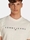 Camiseta Arena Tommy Hilfiger Tjm Reg Liner Logo Tee Ext Oat Marl Htr - Imagen 1