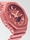 Reloj Casio G-Shock GMA-S2100-4A2ER - Imagen 2